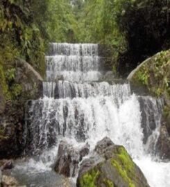 Parque Nacional Yurubí
