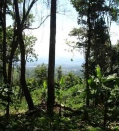 Parque Nacional Yurubí