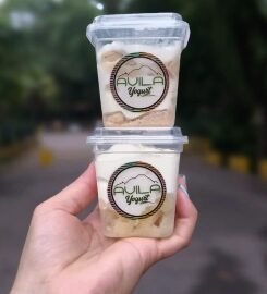 Avila Yogurt