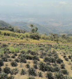 El Balcon De Yaracuy