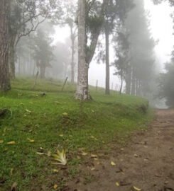 El Balcon De Yaracuy