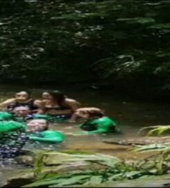 Caminantes de mi tierra