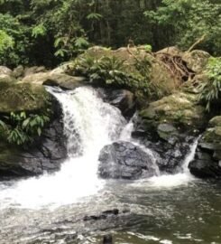 Caminantes de mi tierra