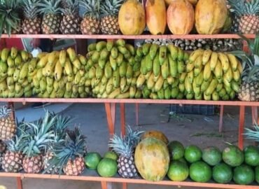 Fruteria “Hermanos Farhan”