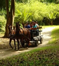 Hotel La Antigua Mision