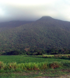 Monumento Natural Cerro María Lionza