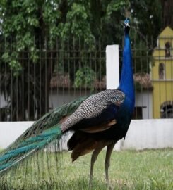 Parque de la Exótica Flora Tropical