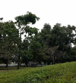 Parque San Felipe El Fuerte